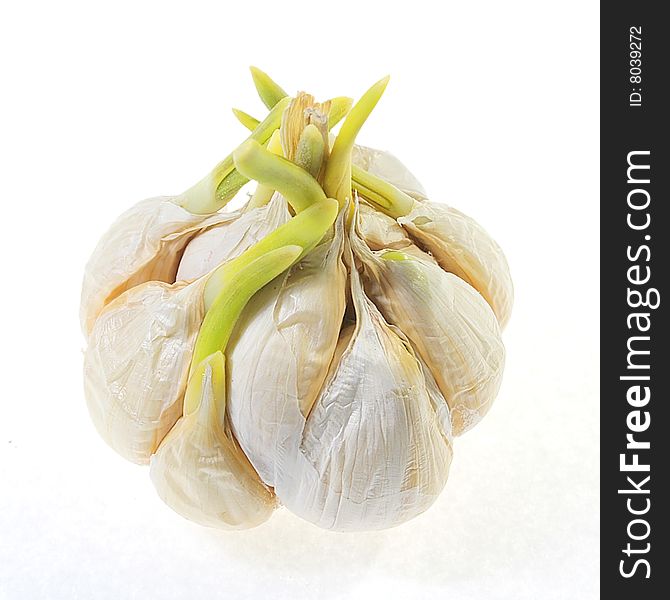 Fresh garlic in the market