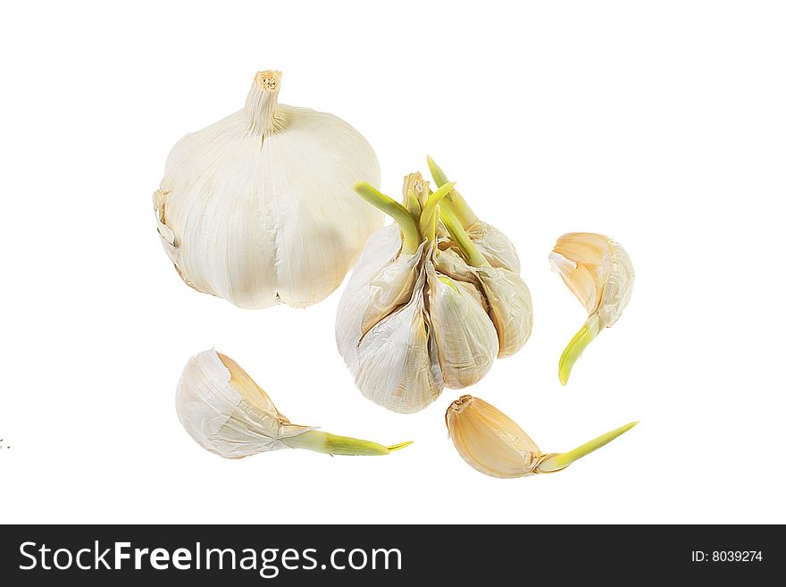 Fresh garlic in the market