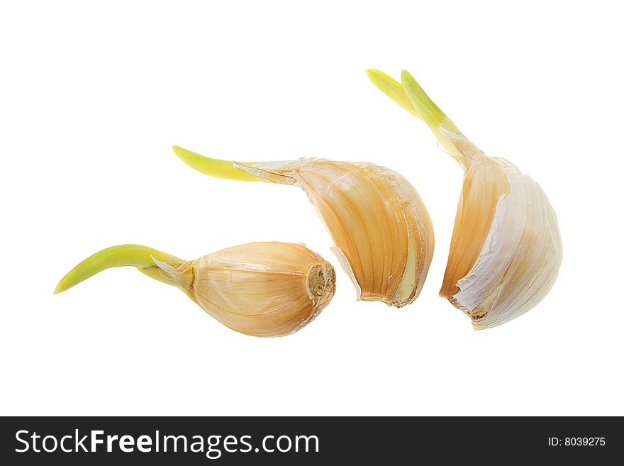 Fresh garlic in the market