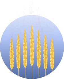 Wheat Icon Stock Image Wheat Icon Stock Image