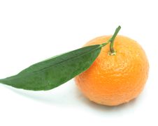 Tangerine With One Leaf Stock Image Tangerine With One Leaf Stock Image