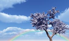 Blossoming Royalty Free Stock Image Blossoming Royalty Free Stock Image