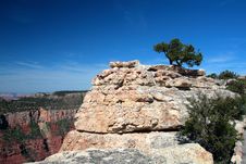 Grand Canyon National Park, USA Royalty Free Stock Images