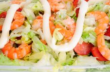 Shrimp Salad Stock Photos