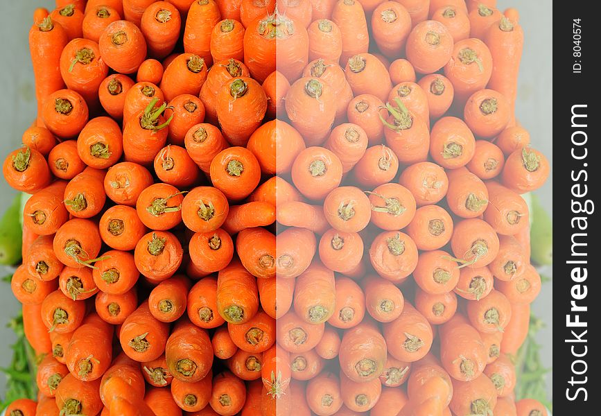 Orange carrot in the markets