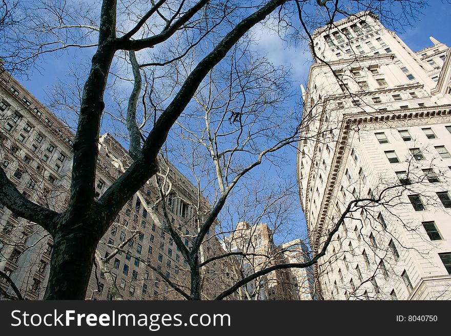 Picture of office buildings in Manhattan. Picture of office buildings in Manhattan