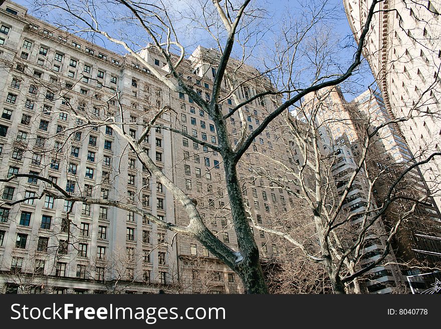 Picture of office buildings in Manhattan. Picture of office buildings in Manhattan