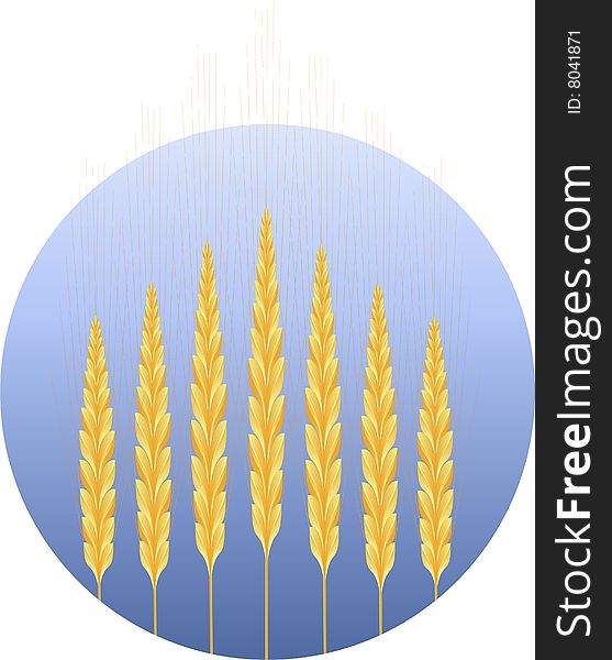 Wheat icon, on round, isolated on white, eps8 format