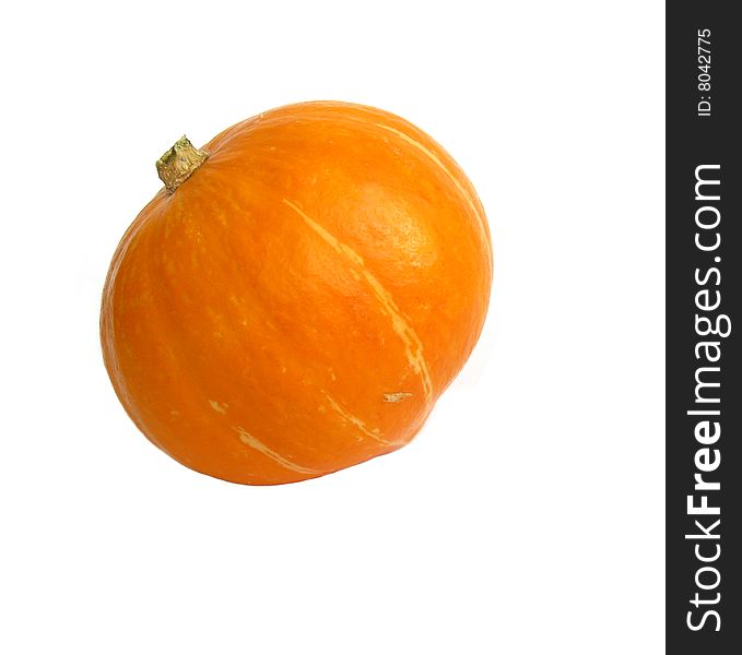 One pumpkin on the white background  isolated