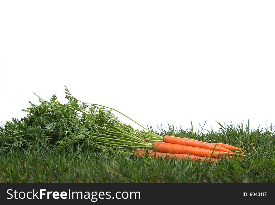 Carrots In The Grass