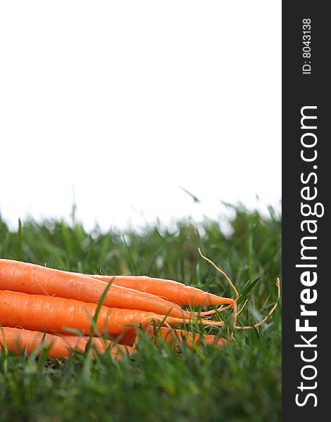 Carrots In The Grass
