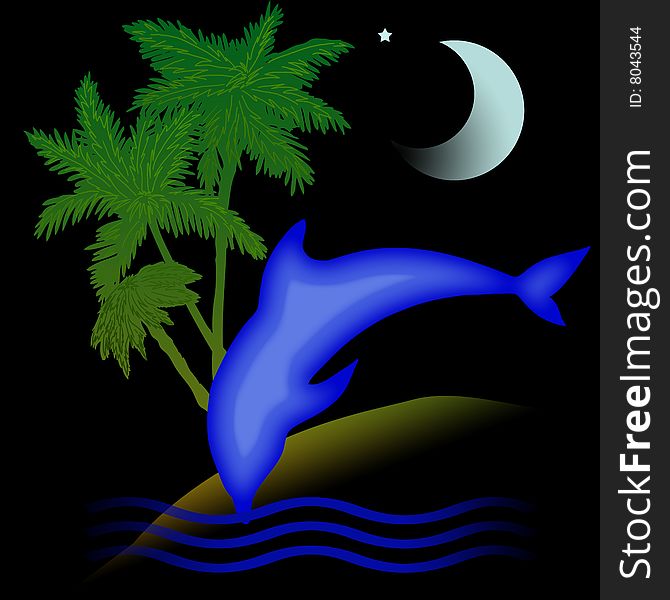 Dolphin holiday night