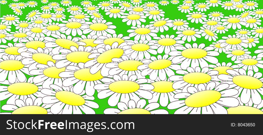 Field dotted daisywheel glade summer