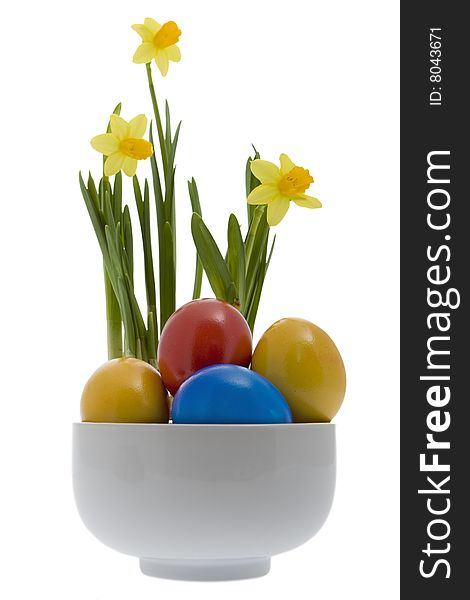 Easter eggs with yellow narcissus, tradition at the Easter time
