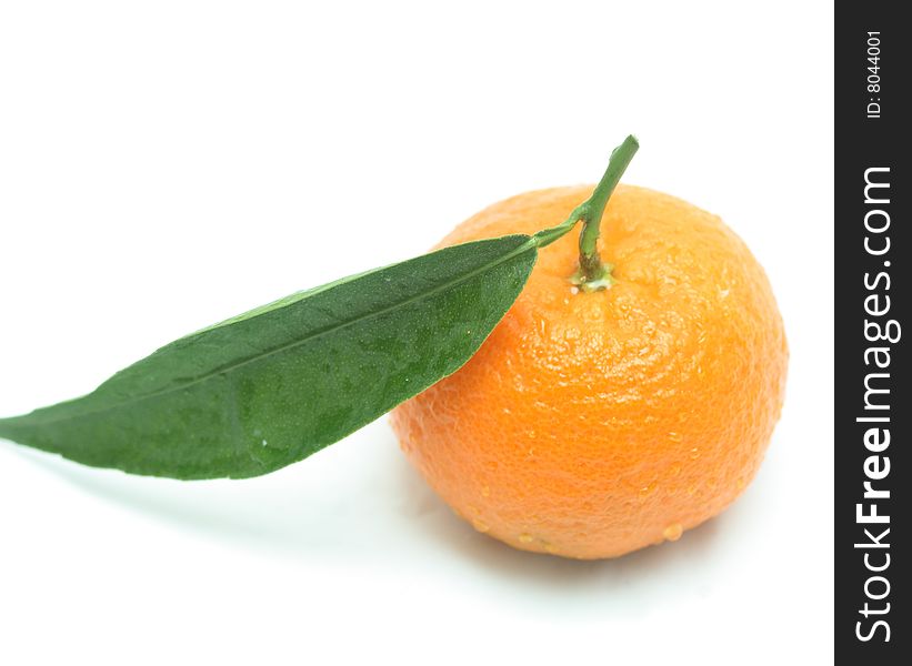 Tangerine With One Leaf