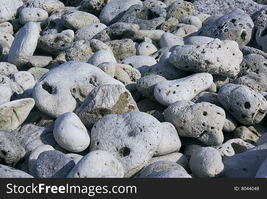 Background with gray coral stones - zoom view. Background with gray coral stones - zoom view.