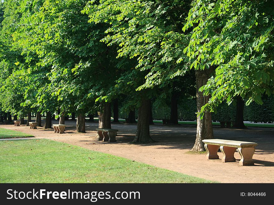 A row of benches, made from concrete and shaded by trees beside each bench, lined up a walking path in a public park. A row of benches, made from concrete and shaded by trees beside each bench, lined up a walking path in a public park.