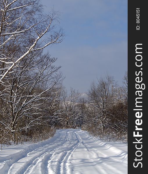 Morning after a snowfall