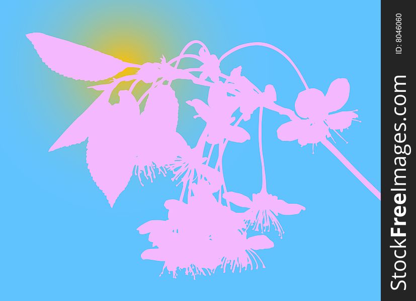 Pink cherry flowers silhouette on blue background