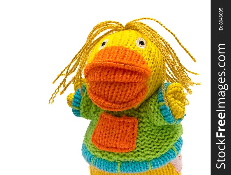 Colourful bound duck toy isolatid