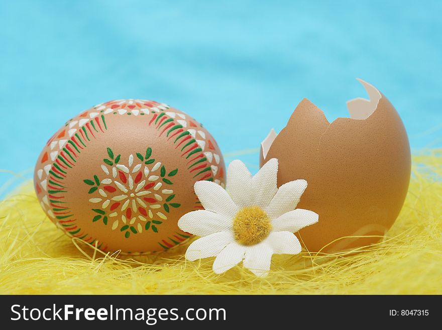 Easter eggs with white flower for easter background.