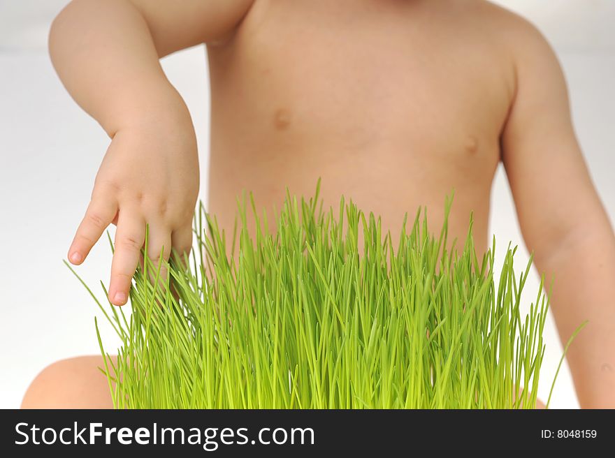 Little girl plays with  green grass