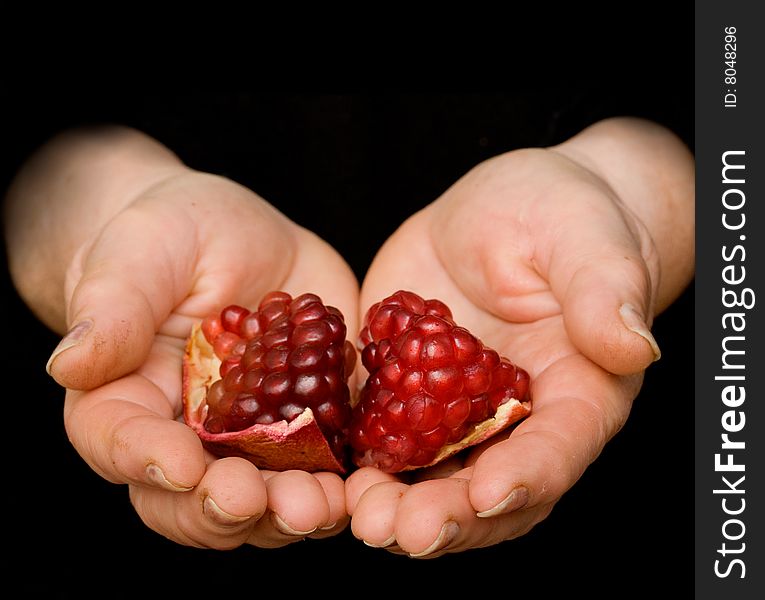 Pomegranate In Hands