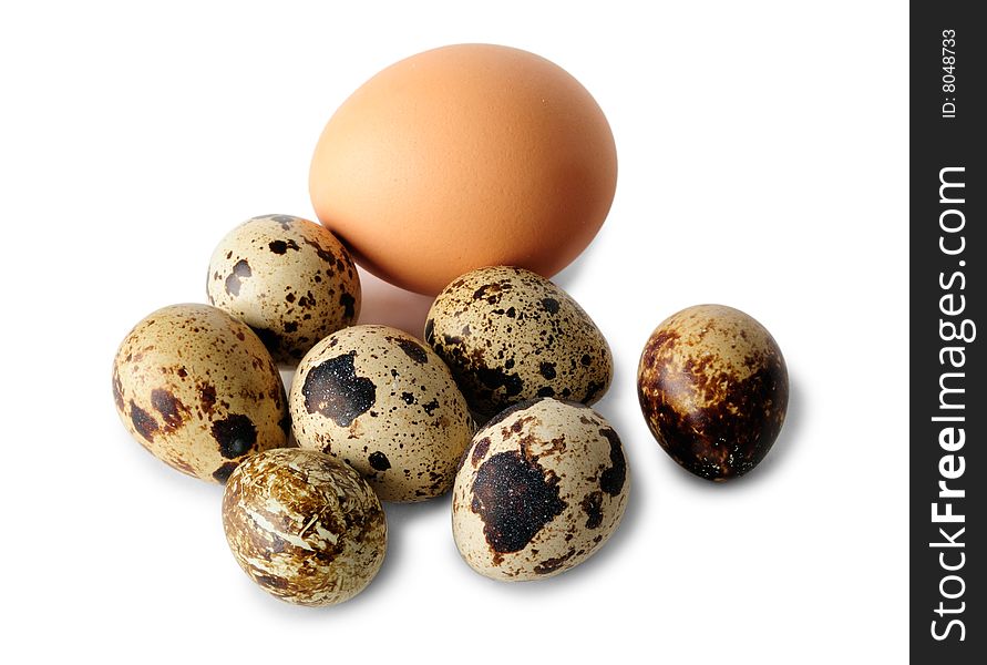 Chicken egg and quail eggs isolated on white