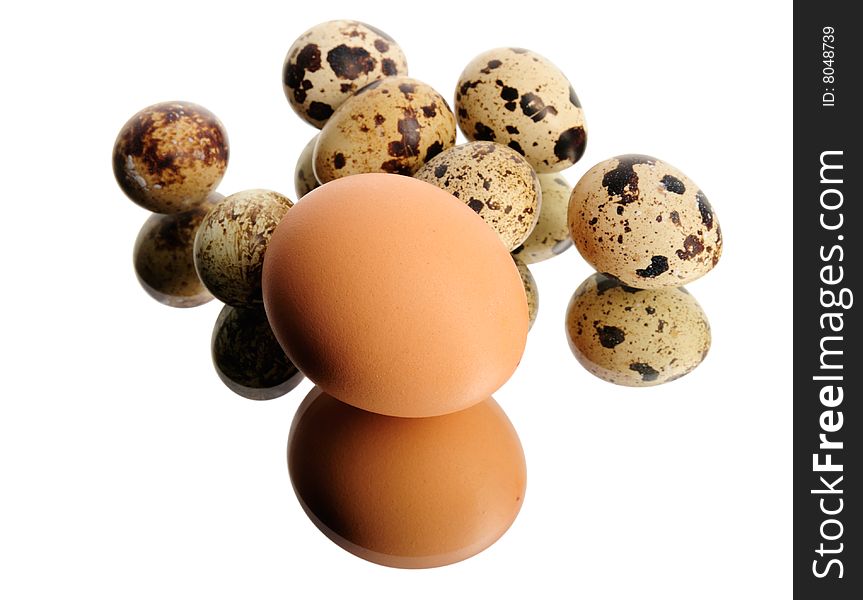 Chicken egg and quail eggs isolated on white