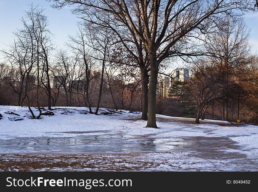 Frozen ice on the lawn in Central Park