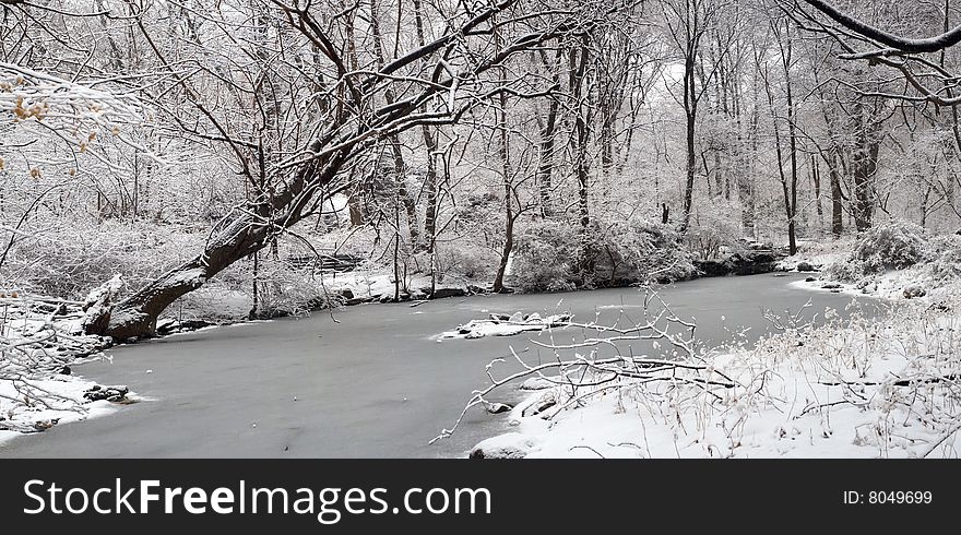 Central Park During A Snow Storm