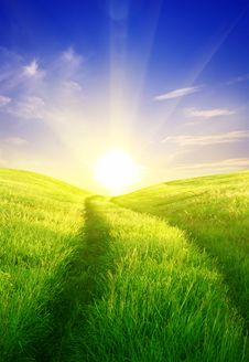 Field Royalty Free Stock Photo Field Royalty Free Stock Photo