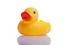 Rubber Duck Royalty Free Stock Photos Rubber Duck Royalty Free Stock Photos