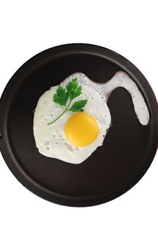 Free Egg Stock Photo - 8058080