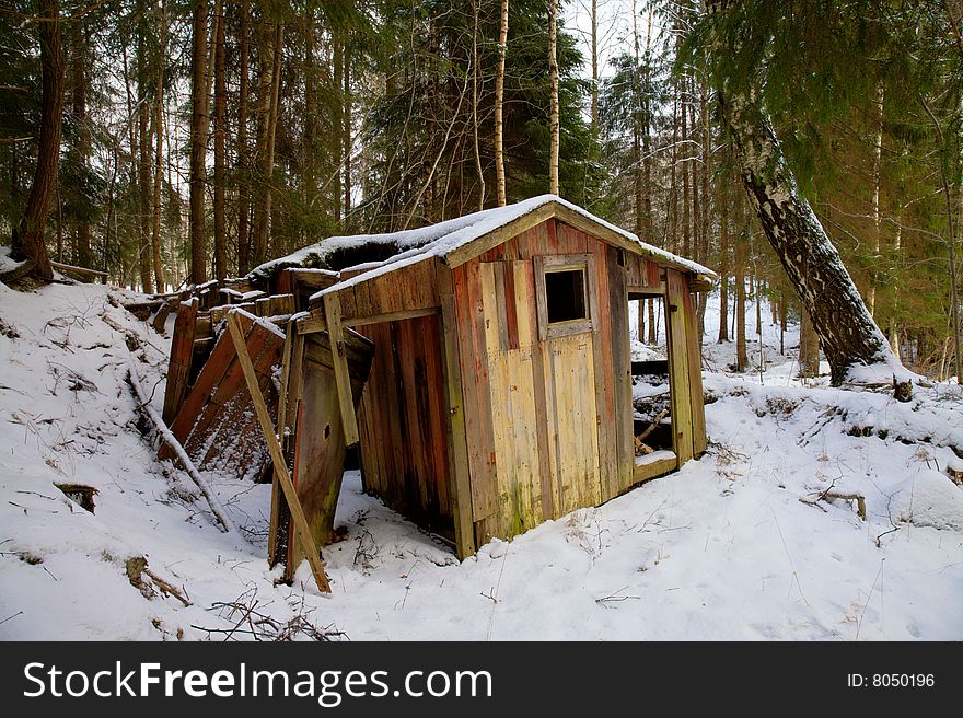 Abandoned Shed In The Woods