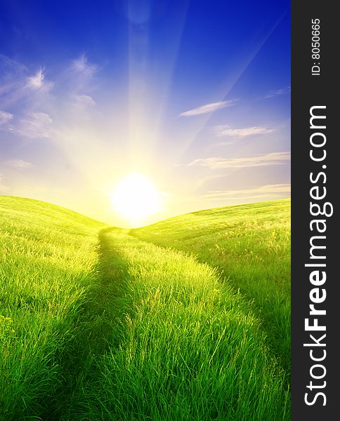 Road on field of green grass and blue sunny sky