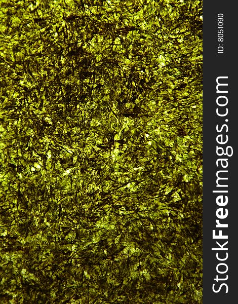 Closeup of Abstract Green Texture
