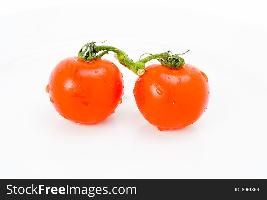 Pair of fresh tomatoes joined on vine. Pair of fresh tomatoes joined on vine