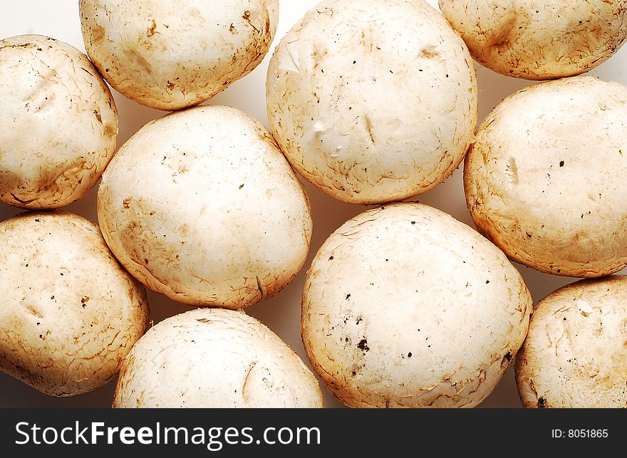 White mushrooms as food background. White mushrooms as food background