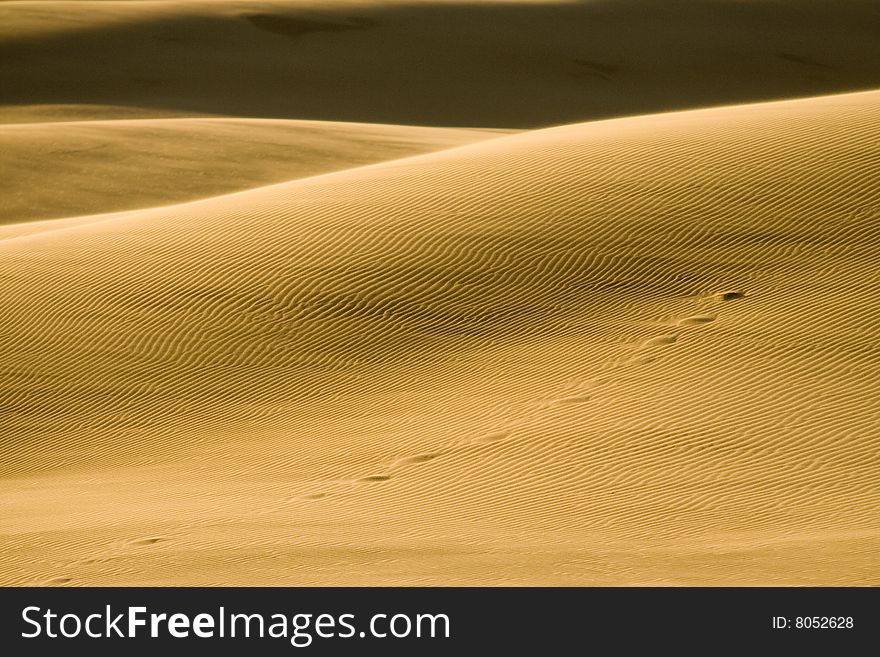 Stockton sand dunes in Anna Bay, NSW, Australia. Sand ripples detail with dramatic shadows. Taken in low light conditions. Stockton sand dunes in Anna Bay, NSW, Australia. Sand ripples detail with dramatic shadows. Taken in low light conditions.