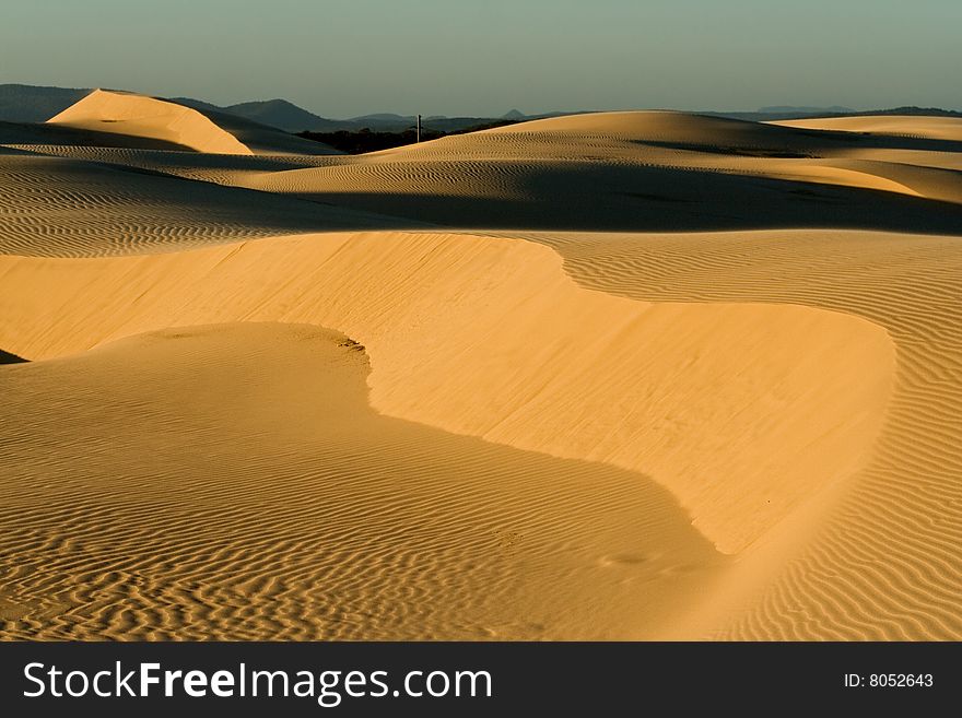 Stockton sand dunes in Anna Bay, NSW, Australia. Sand ripples detail with dramatic shadows. Taken in low light conditions.