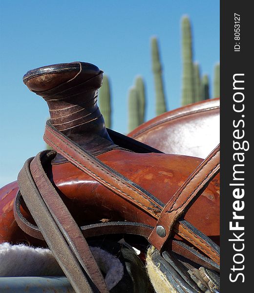 Wrapped saddle horn with cactus in the background.
