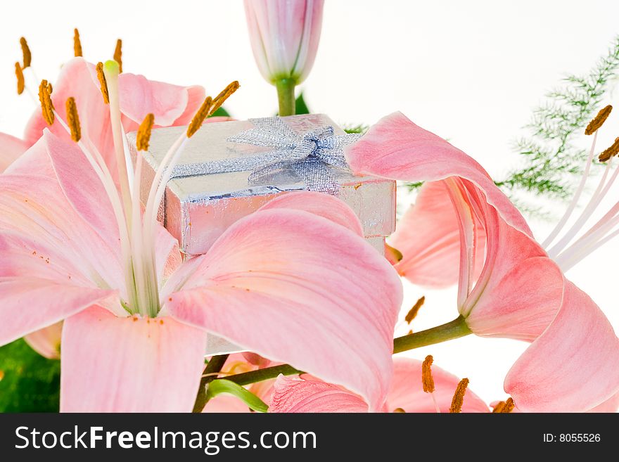 Pink Lilly and gift on white background