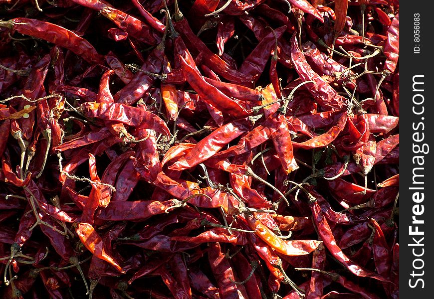 The famous red hot chili of India. The famous red hot chili of India