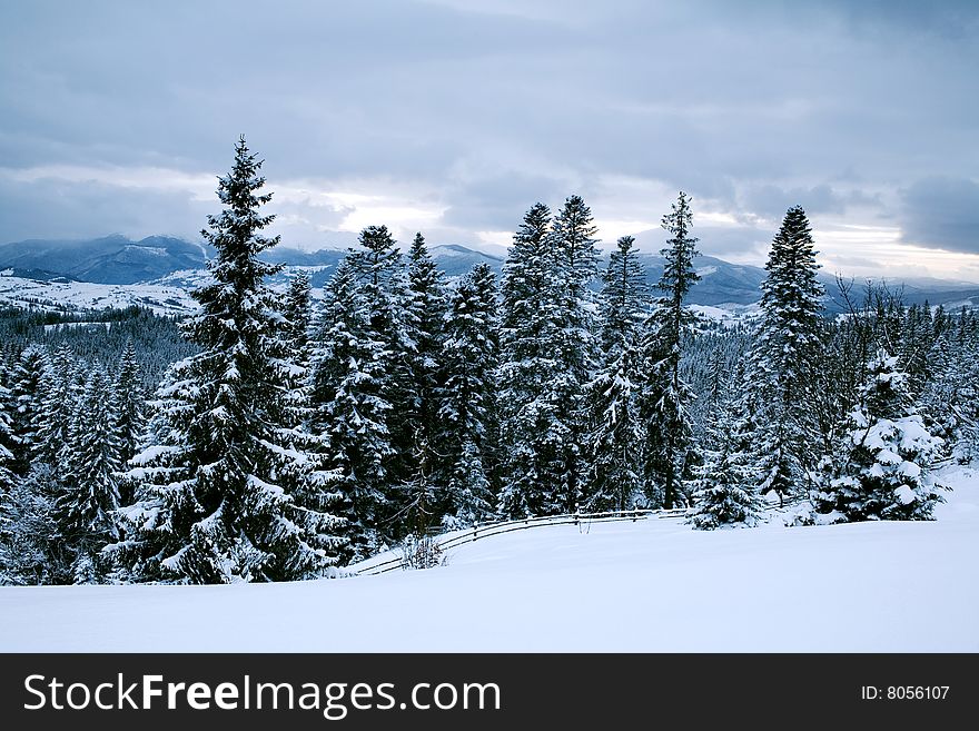 Stock photo: nature theme: an image of beautiful winter forest in mountains