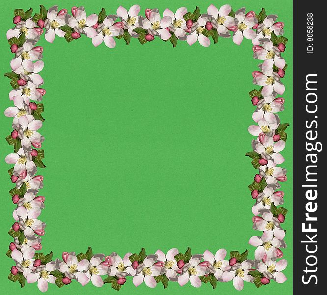 Apple blossom frame with green background. Apple blossom frame with green background