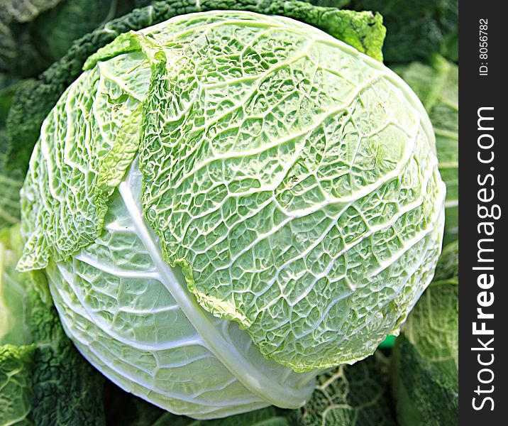 Fresh cabbage at a farmer's market.