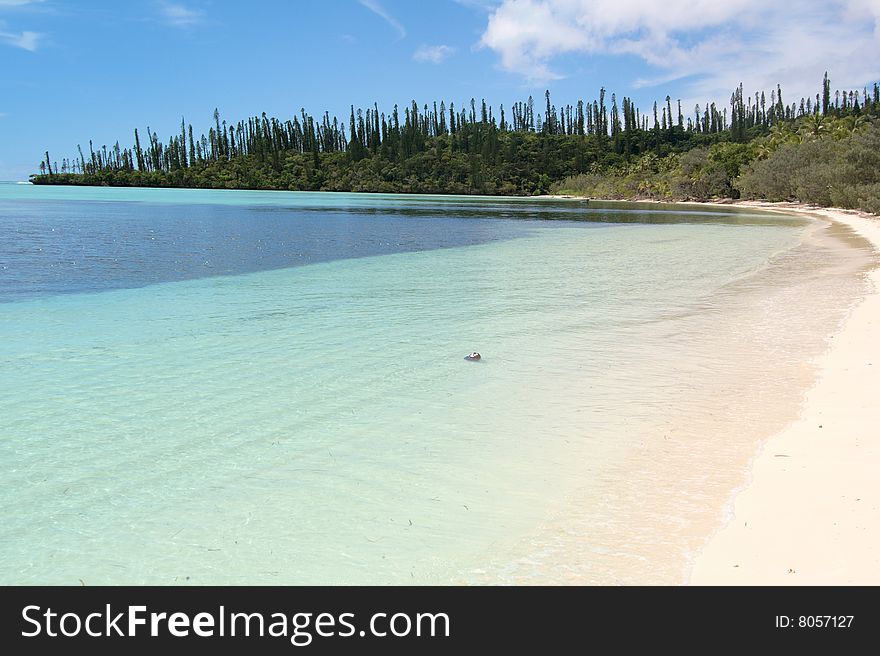 A desert white sandy beach in New Caledonia