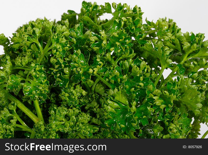 Close up view of curly parsley on white background