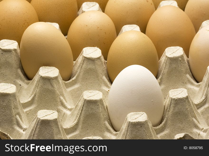 Fresh organic eggs in a carton.